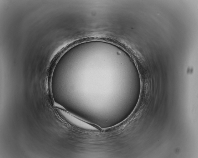 X0000098001262200804071209