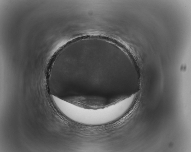 X0000098001263200804071209