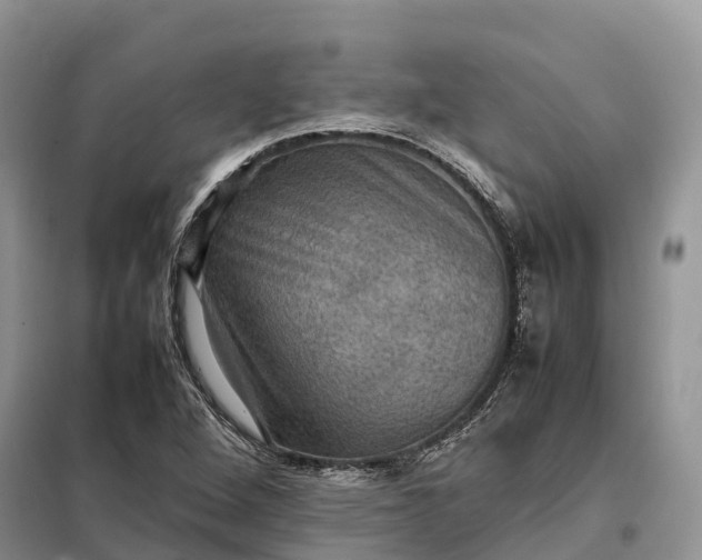 X0000098001264200804071209