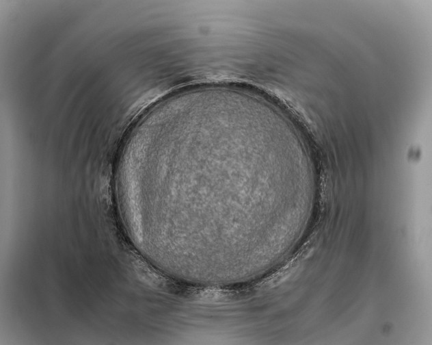 X0000098001265200804071209