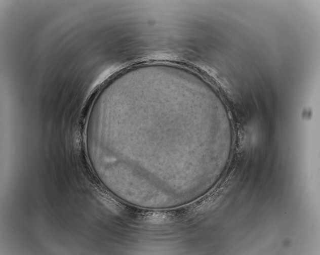 X0000098001266200804071209