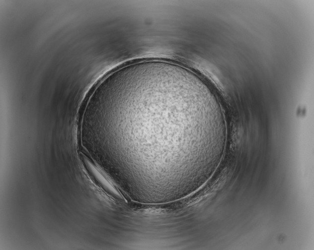 X0000098001268200804071209