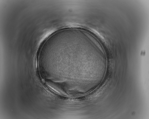 X0000098001269200804071209