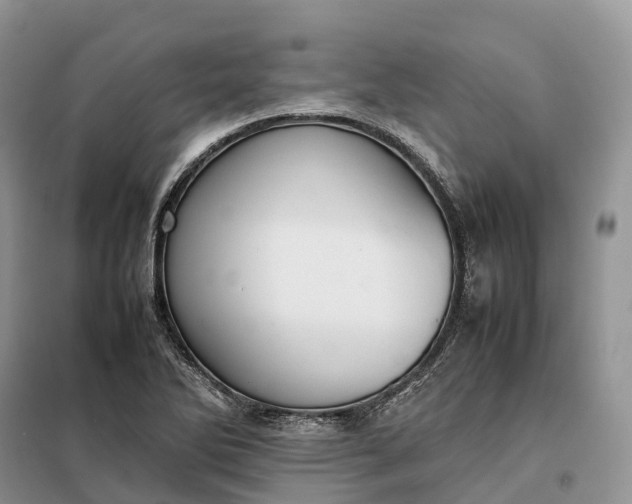 X0000098001270200804071209