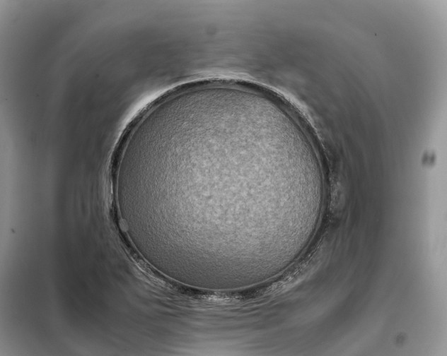 X0000098001271200804071209