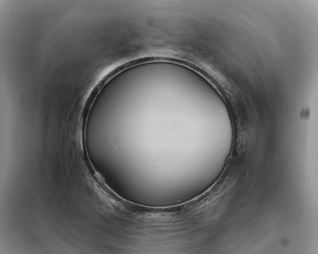 X0000098001272200804071209
