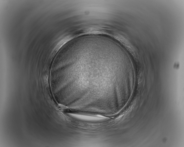X0000098001273200804071209