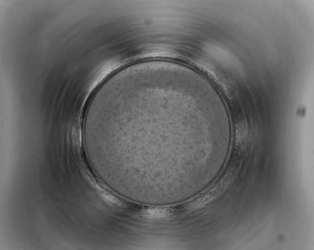 X0000098001274200804071209