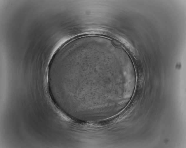 X0000098001275200804071209
