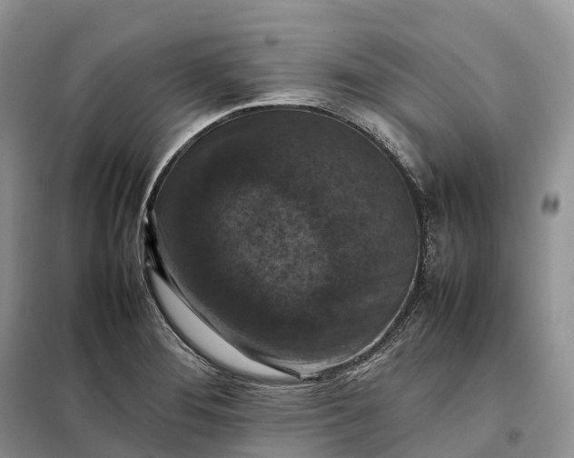 X0000098001276200804071209