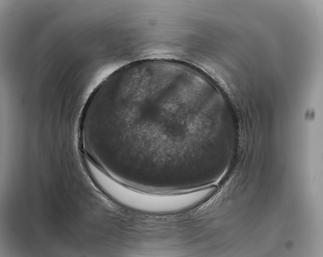 X0000098001277200804071209