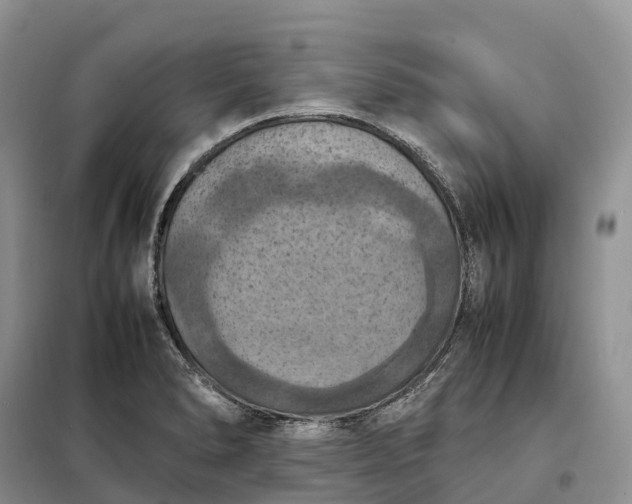 X0000098001278200804071209