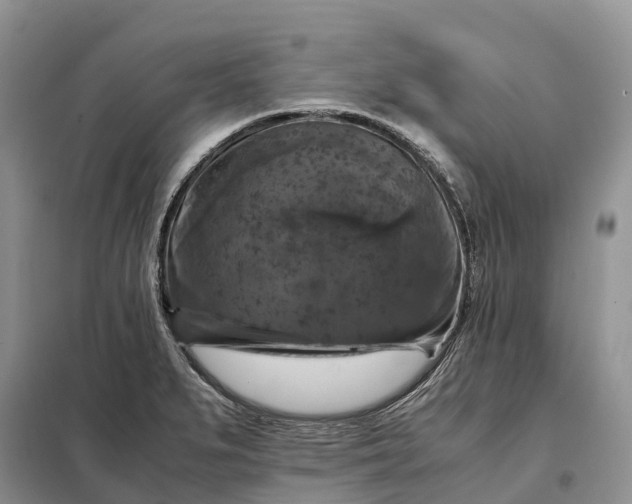 X0000098001279200804071209