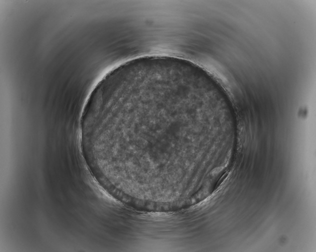 X0000098001280200804071209
