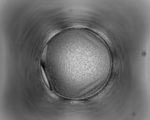 X0000098001281200804071209