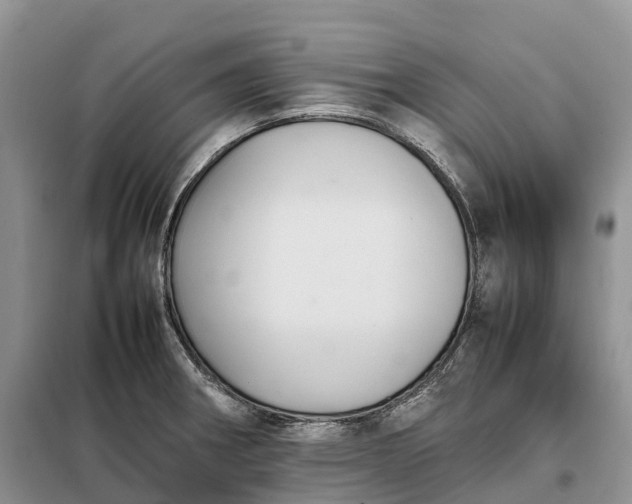 X0000098001282200804071209