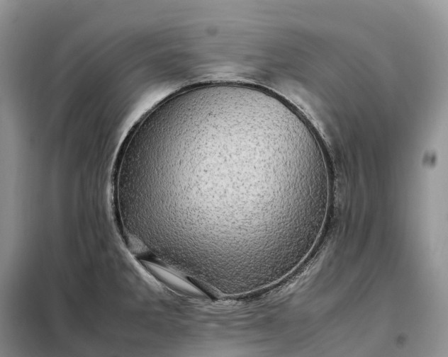X0000098001285200804071209