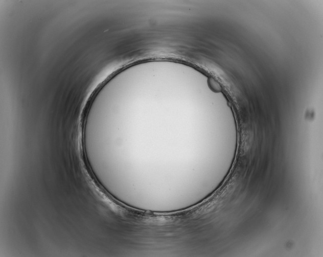 X0000098001286200804071209
