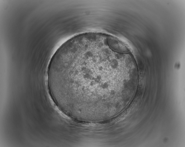 X0000098001287200804071209