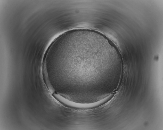 X0000098001288200804071209