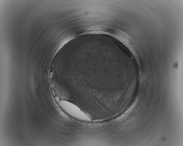 X0000098001289200804071209