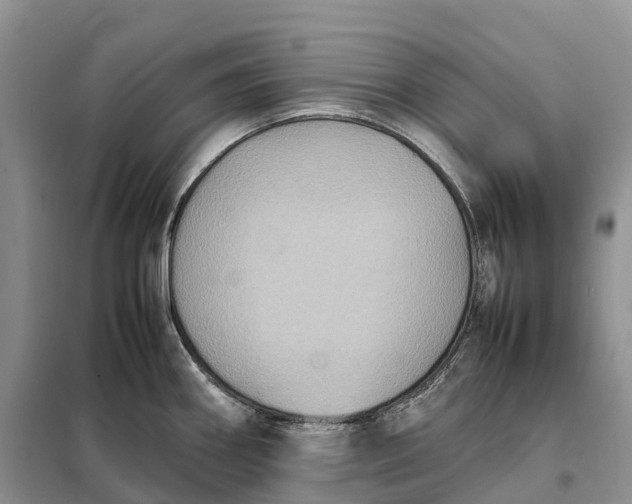 X0000098001290200804071209