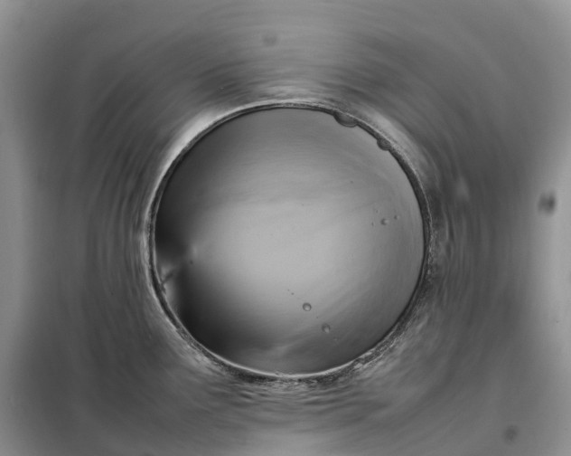 X0000098001291200804071209