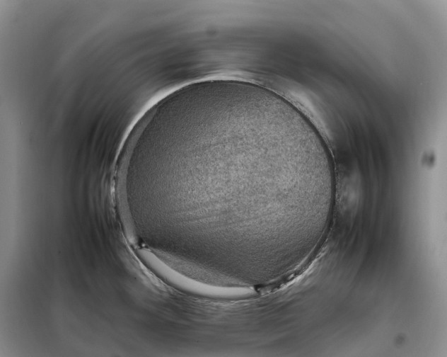 X0000098001292200804071208
