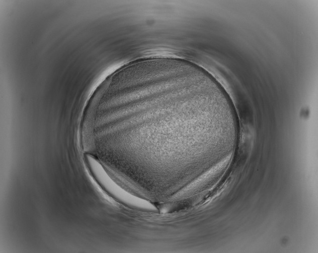 X0000098001293200804071208