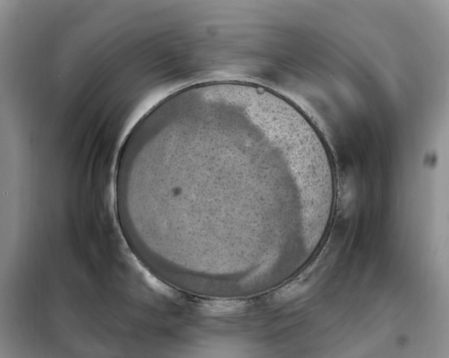 X0000098001294200804071208