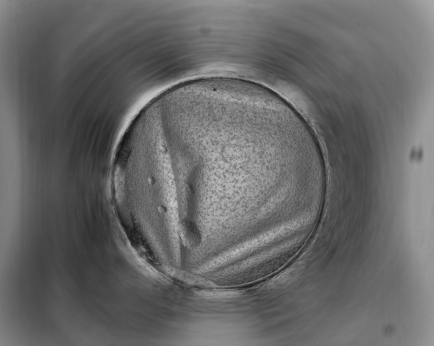X0000098001296200804071208