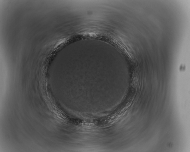 X0000098001297200804071208