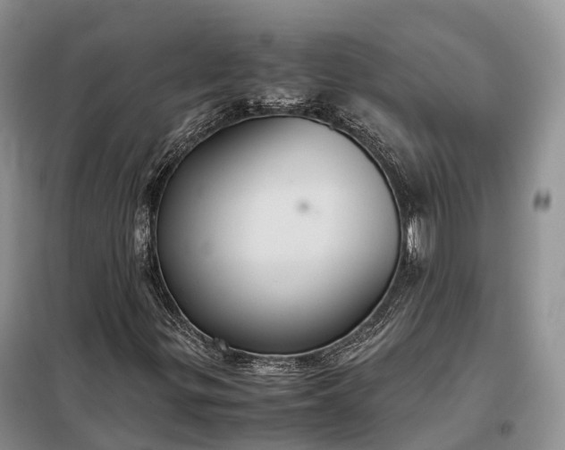 X0000098001299200804071208