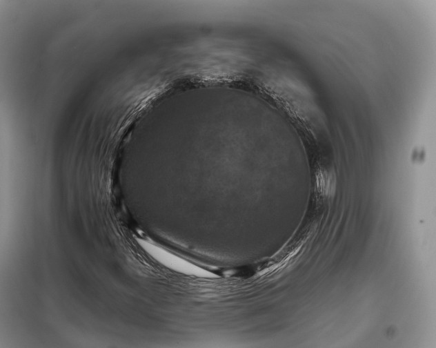X0000098001300200804071208