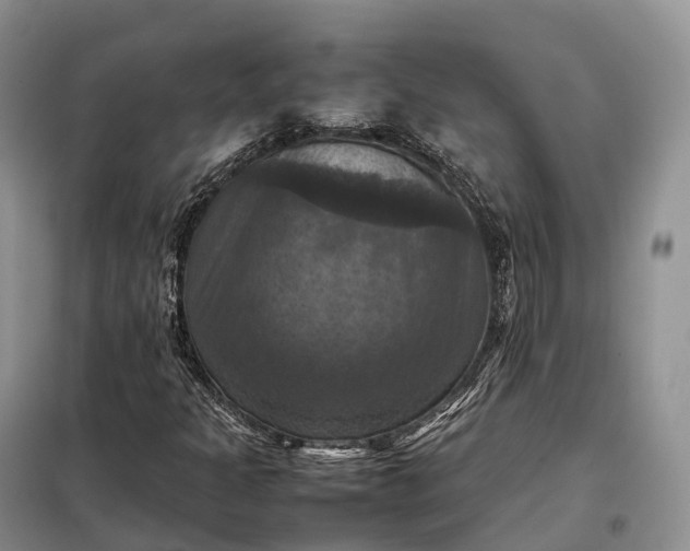 X0000098001301200804071208