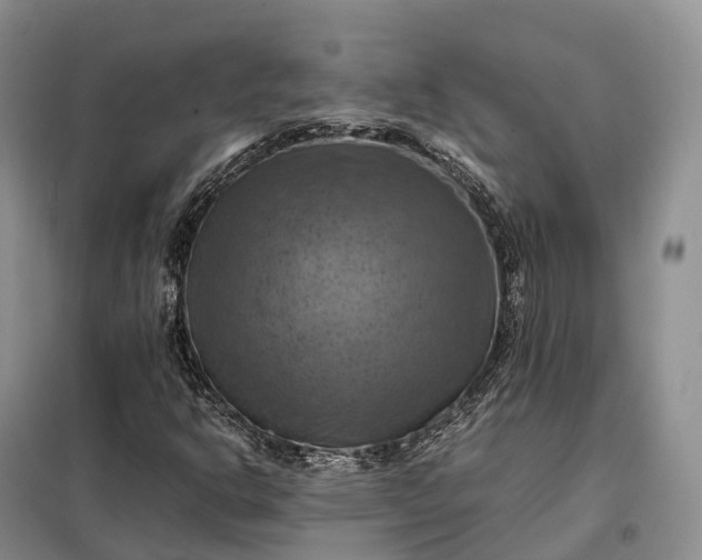 X0000098001302200804071208