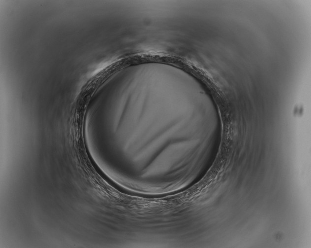 X0000098001303200804071208