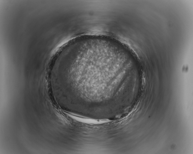 X0000098001304200804071208