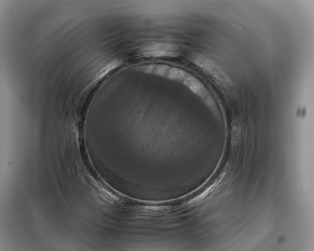 X0000098001305200804071208