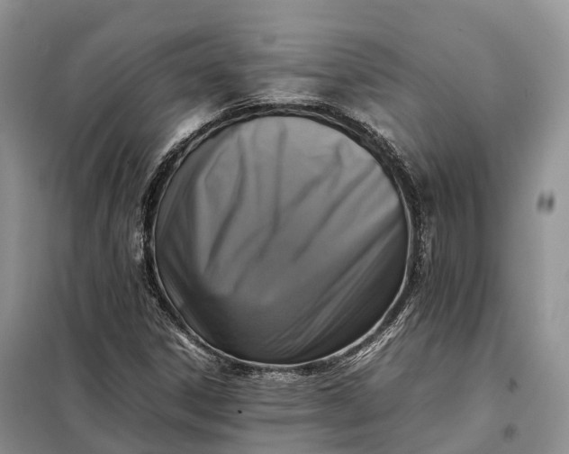 X0000098001306200804071208