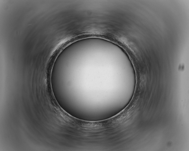 X0000098001307200804071208