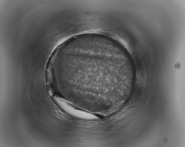 X0000098001308200804071208