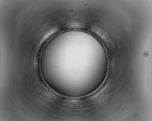 X0000098001309200804071208