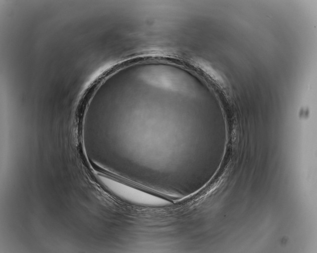 X0000098001310200804071208