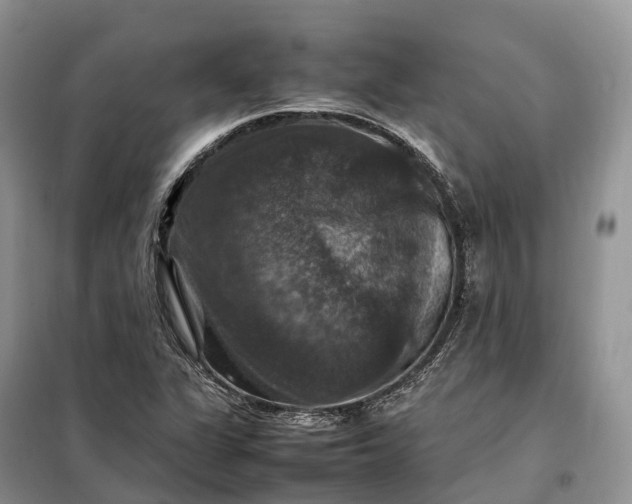 X0000098001311200804071208