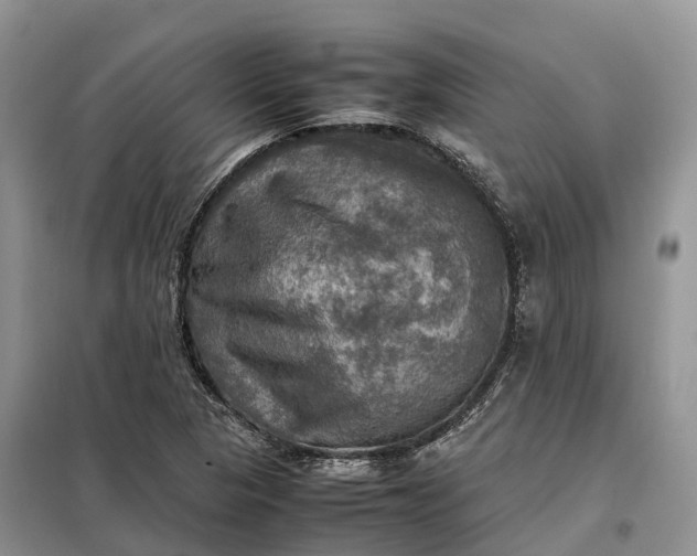 X0000098001313200804071208