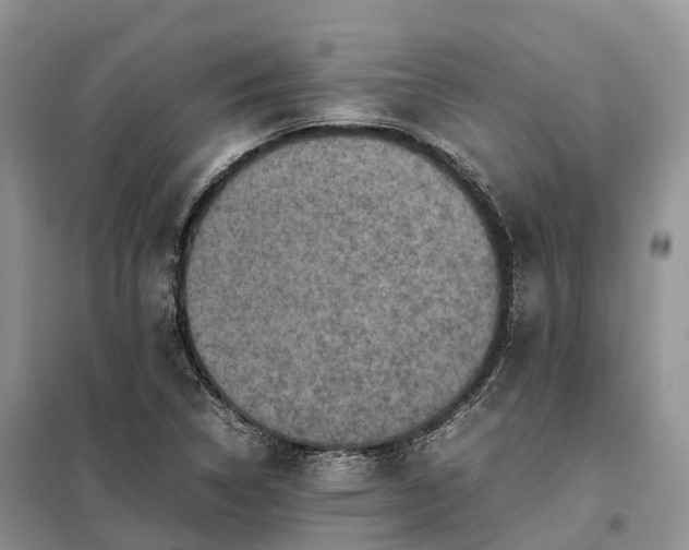 X0000098001314200804071208