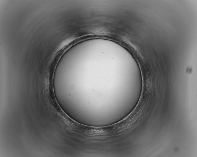X0000098001315200804071208