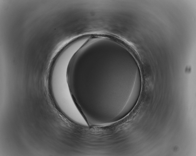 X0000098001319200804071208