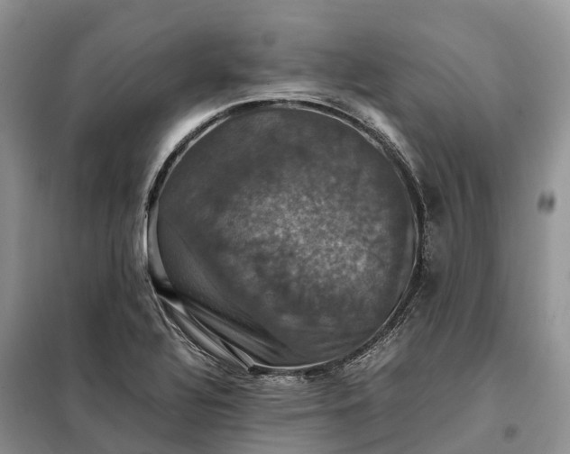 X0000098001320200804071208